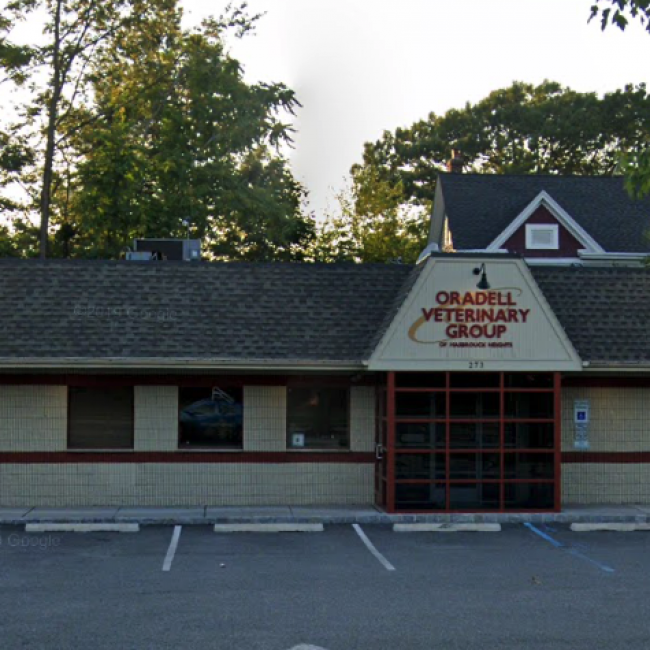 Oradell Veterinary Group of Hasbrouck Heights