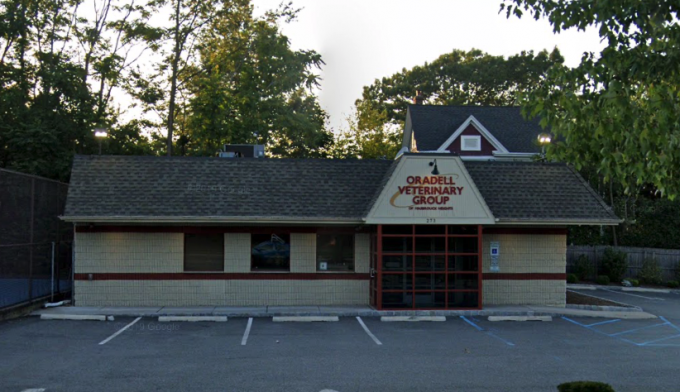 Oradell Veterinary Group of Hasbrouck Heights