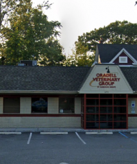 Oradell Veterinary Group of Hasbrouck Heights